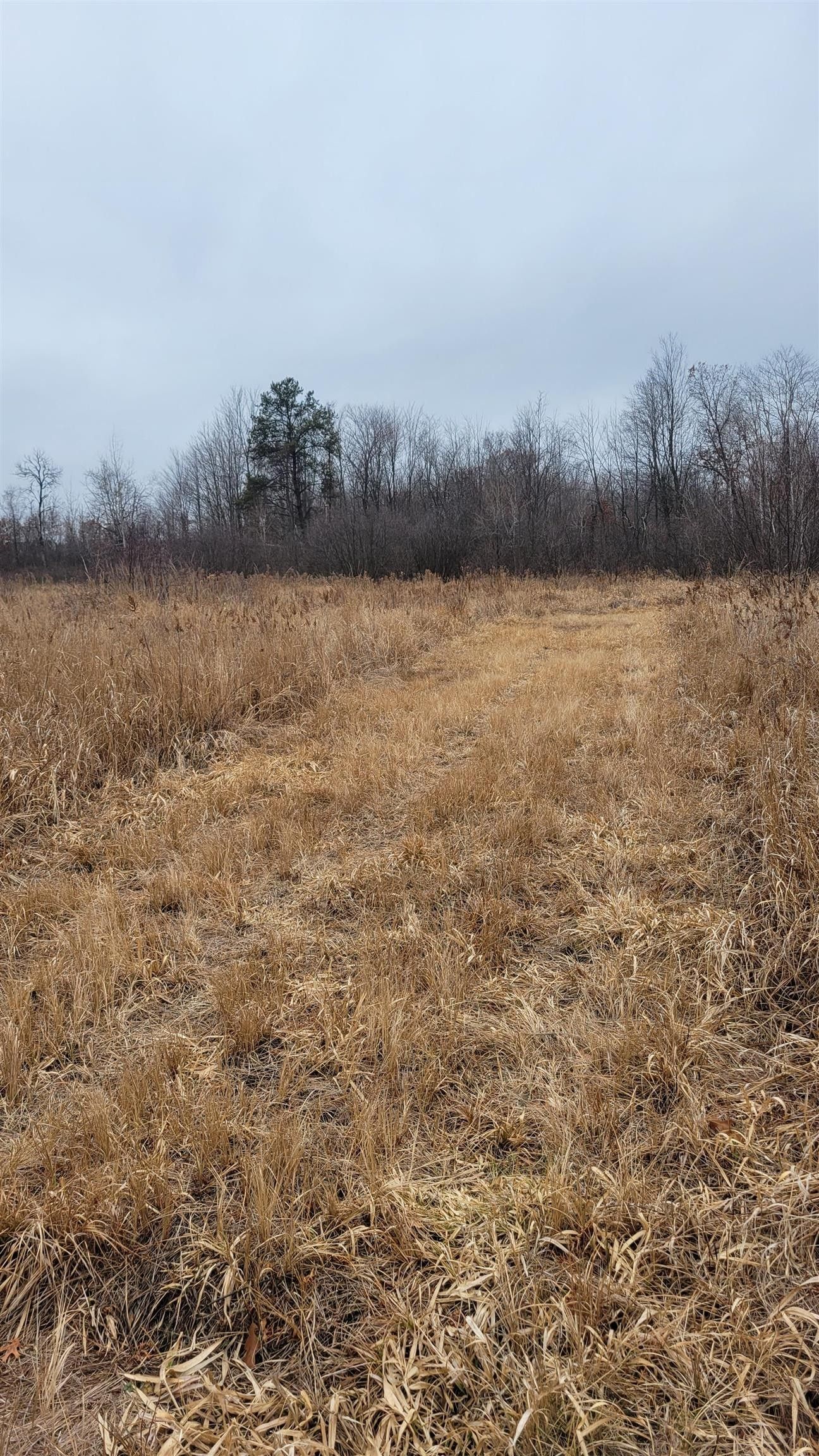 Nekoosa, Wood County, WI Undeveloped Land for sale Property ID