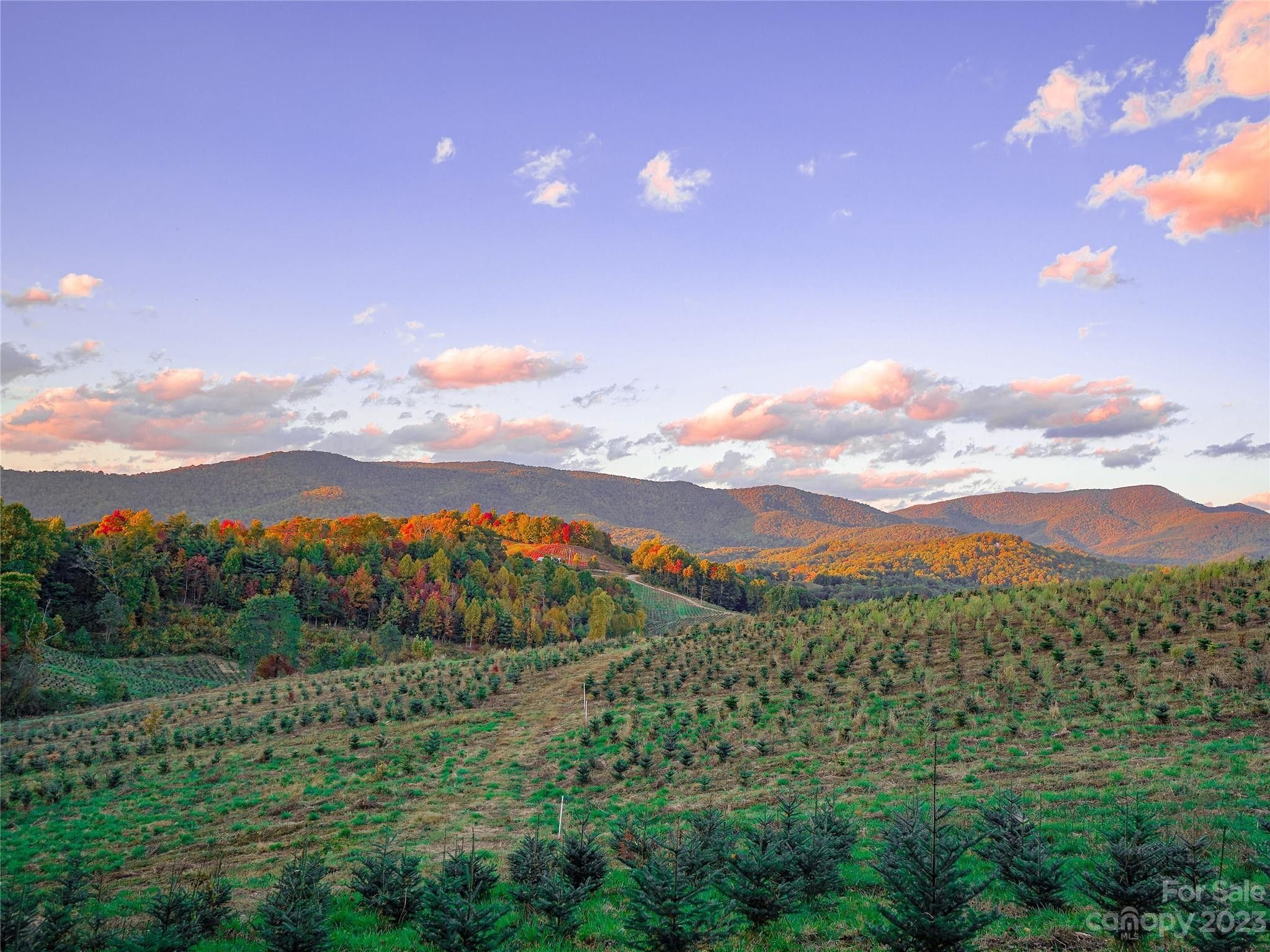 Tuckasegee, Jackson County, NC Undeveloped Land for sale Property ID