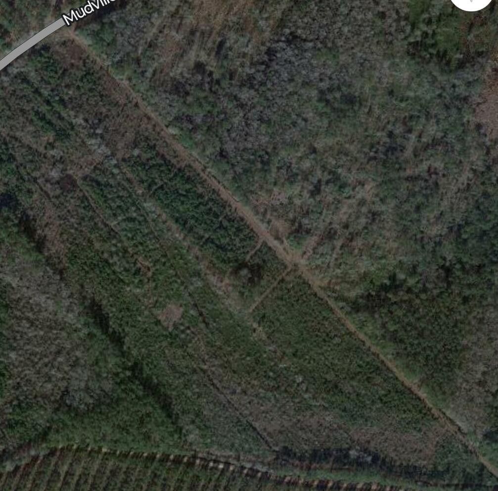 Ridgeville, Berkeley County, SC Undeveloped Land for sale Property ID