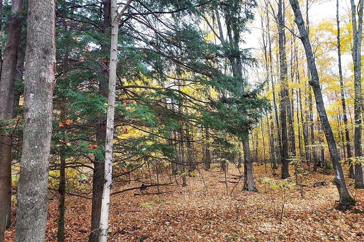 Goodman, County, WI Recreational Property, Hunting Property