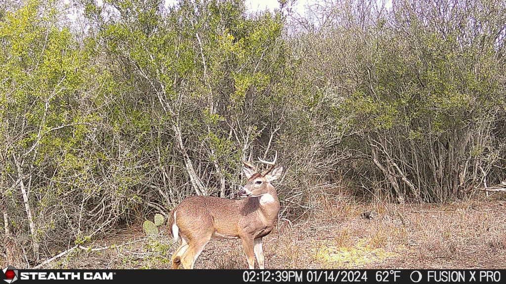 San Diego, Duval County, TX Recreational Property, Undeveloped Land