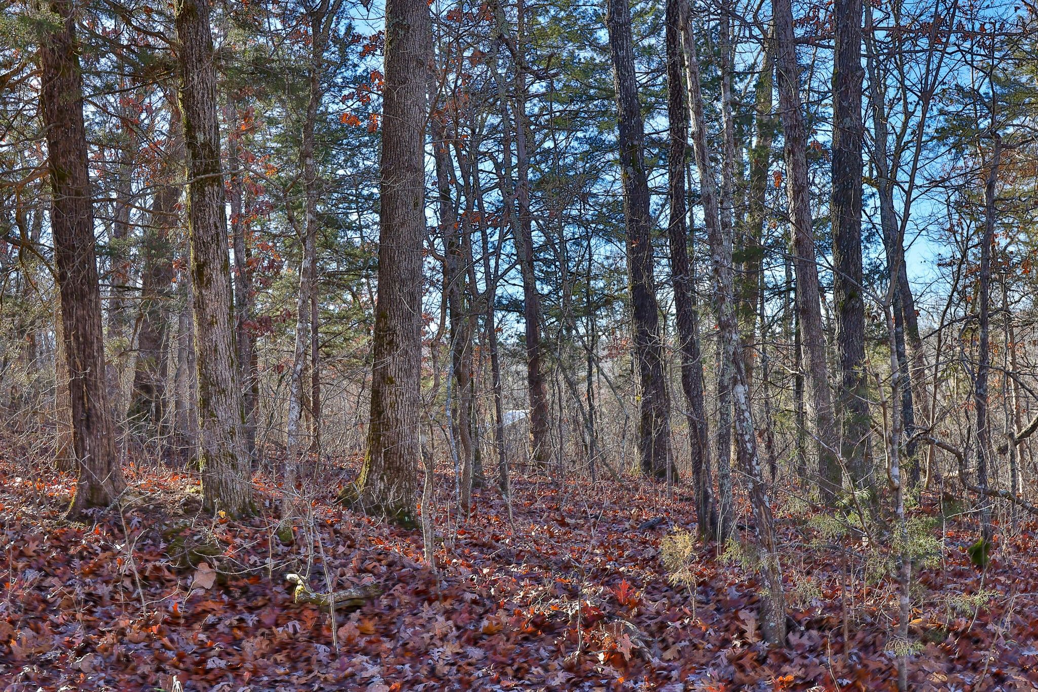 Lot 1 & 2 County Road 302, Eminence, MO 65466 MLS 60259456 LandWatch