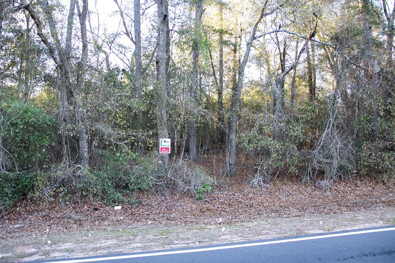 Hephzibah, Burke County, GA Recreational Property, Undeveloped Land for