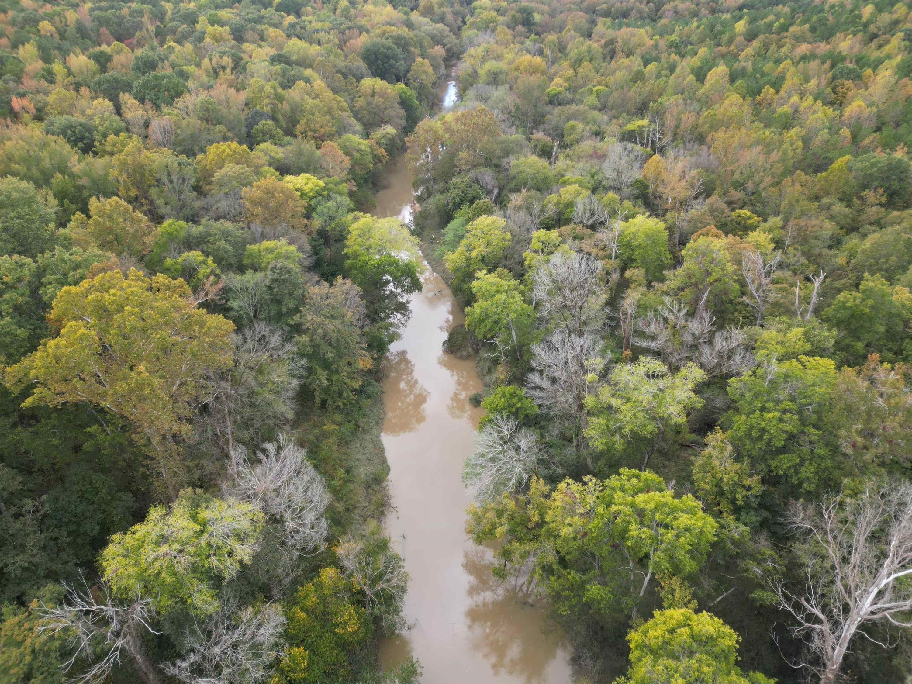 Kittrell, Vance County, NC Farms and Ranches for sale Property ID 417984868 LandWatch