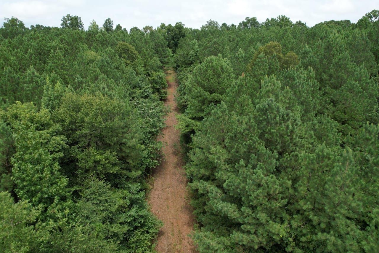 New Albany, Union County, MS Recreational Property, Undeveloped Land