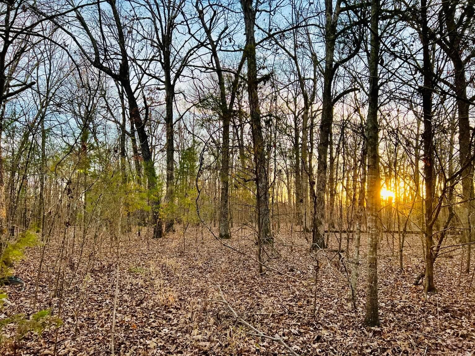 Baldwyn, Prentiss County, MS Recreational Property, Undeveloped Land