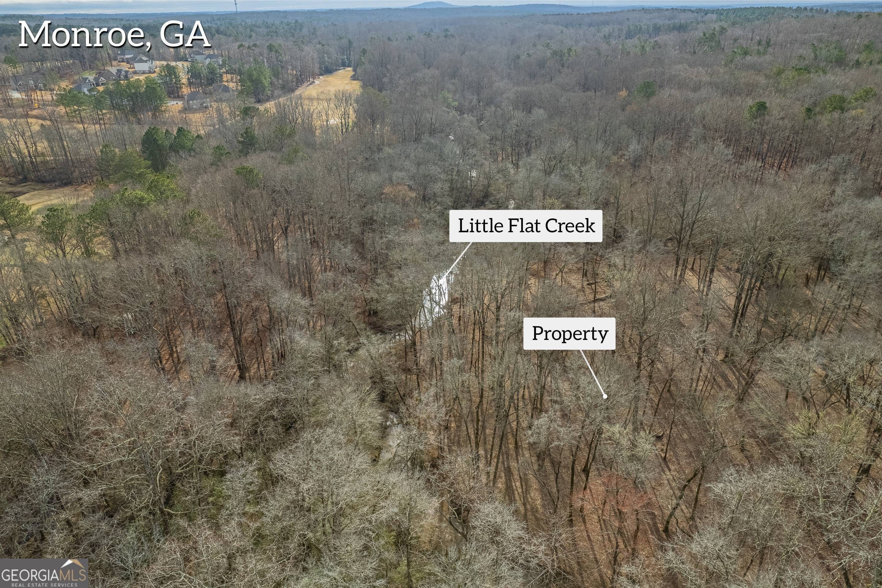 Monroe, Walton County, GA Undeveloped Land for sale Property ID