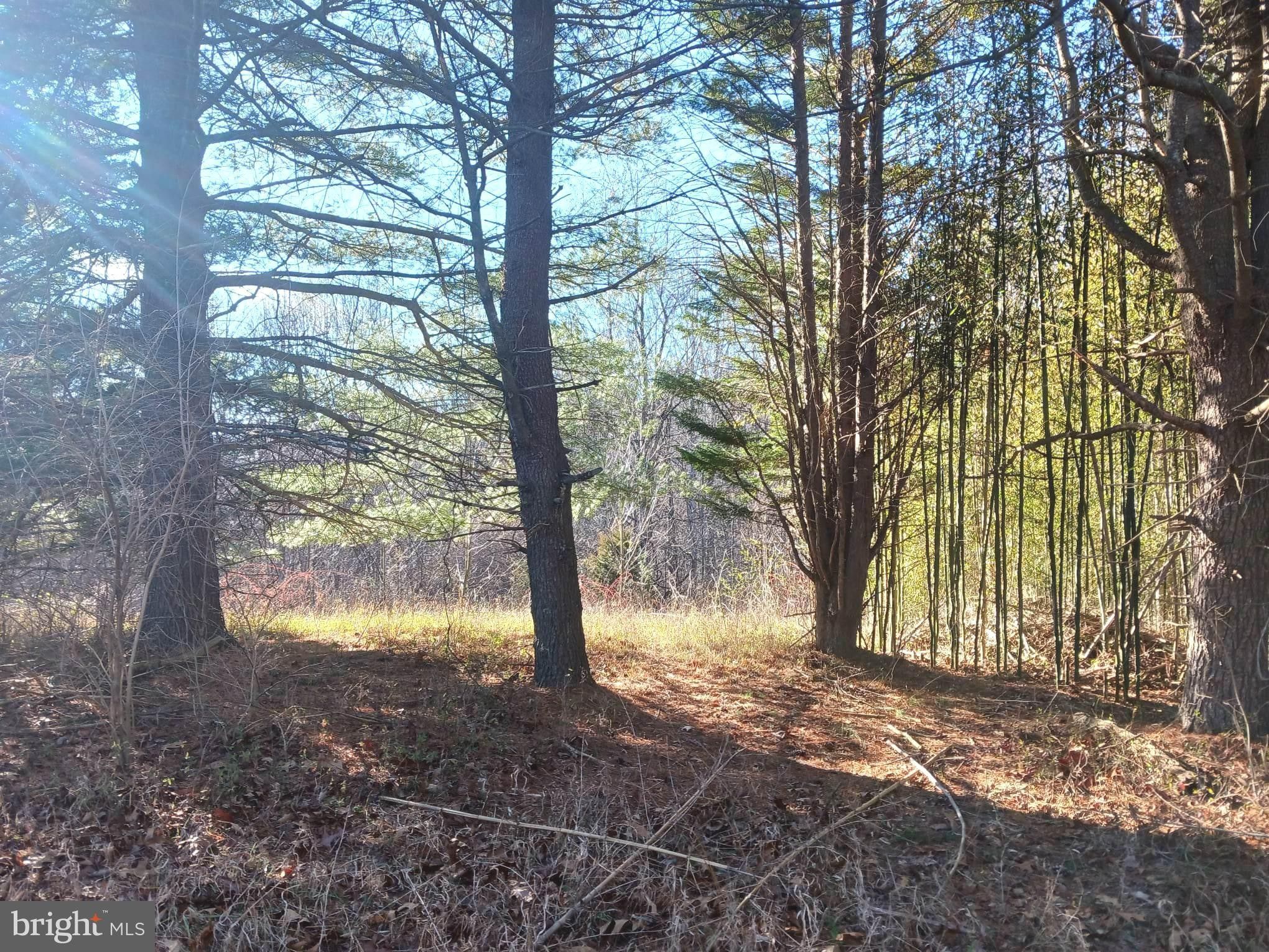 Boonsboro, Washington County, MD Undeveloped Land for sale Property ID