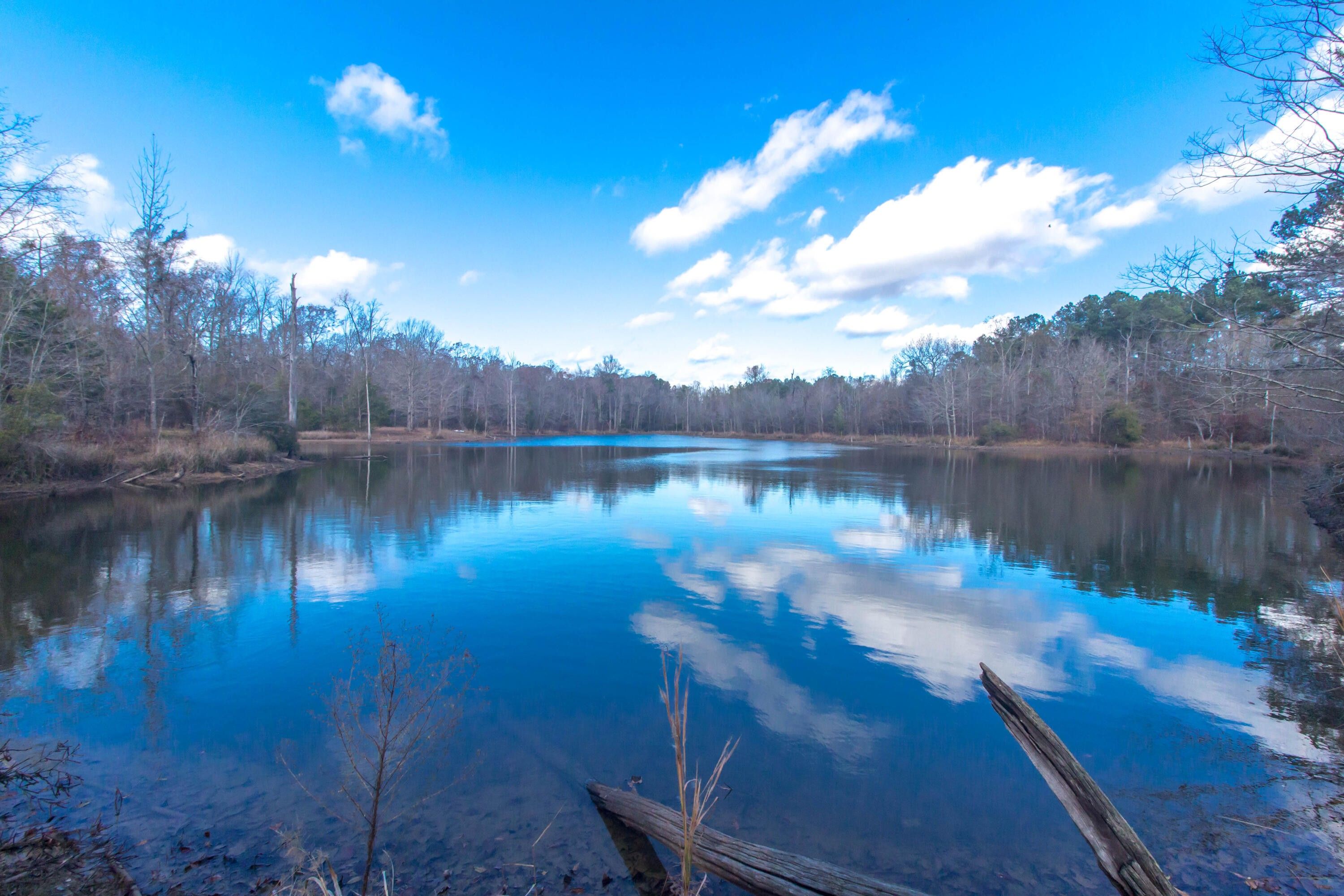 Philadelphia, Neshoba County, MS Undeveloped Land for sale Property ID