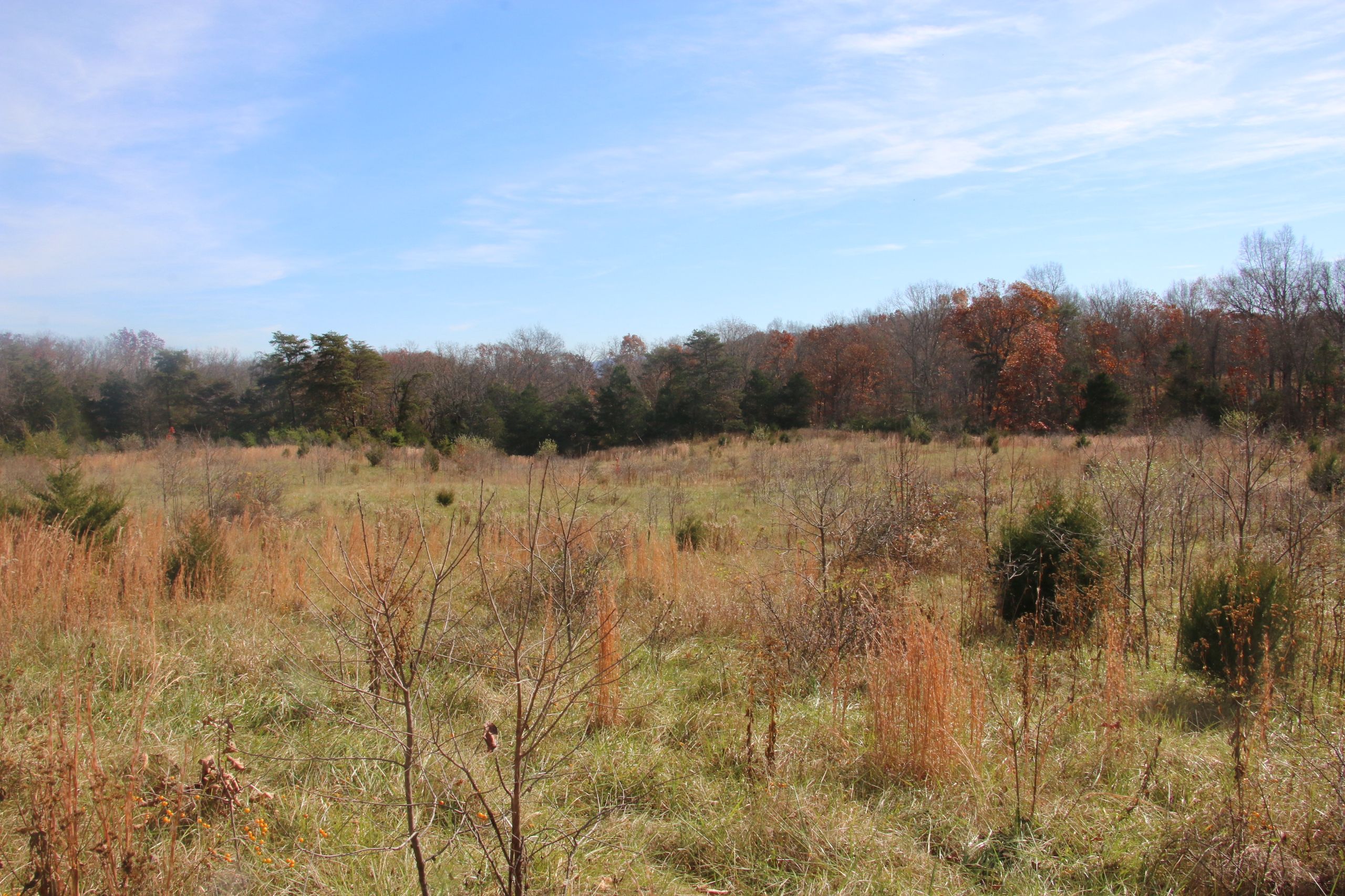 Front Royal, Warren County, VA Farms and Ranches, Recreational Property for sale Property ID