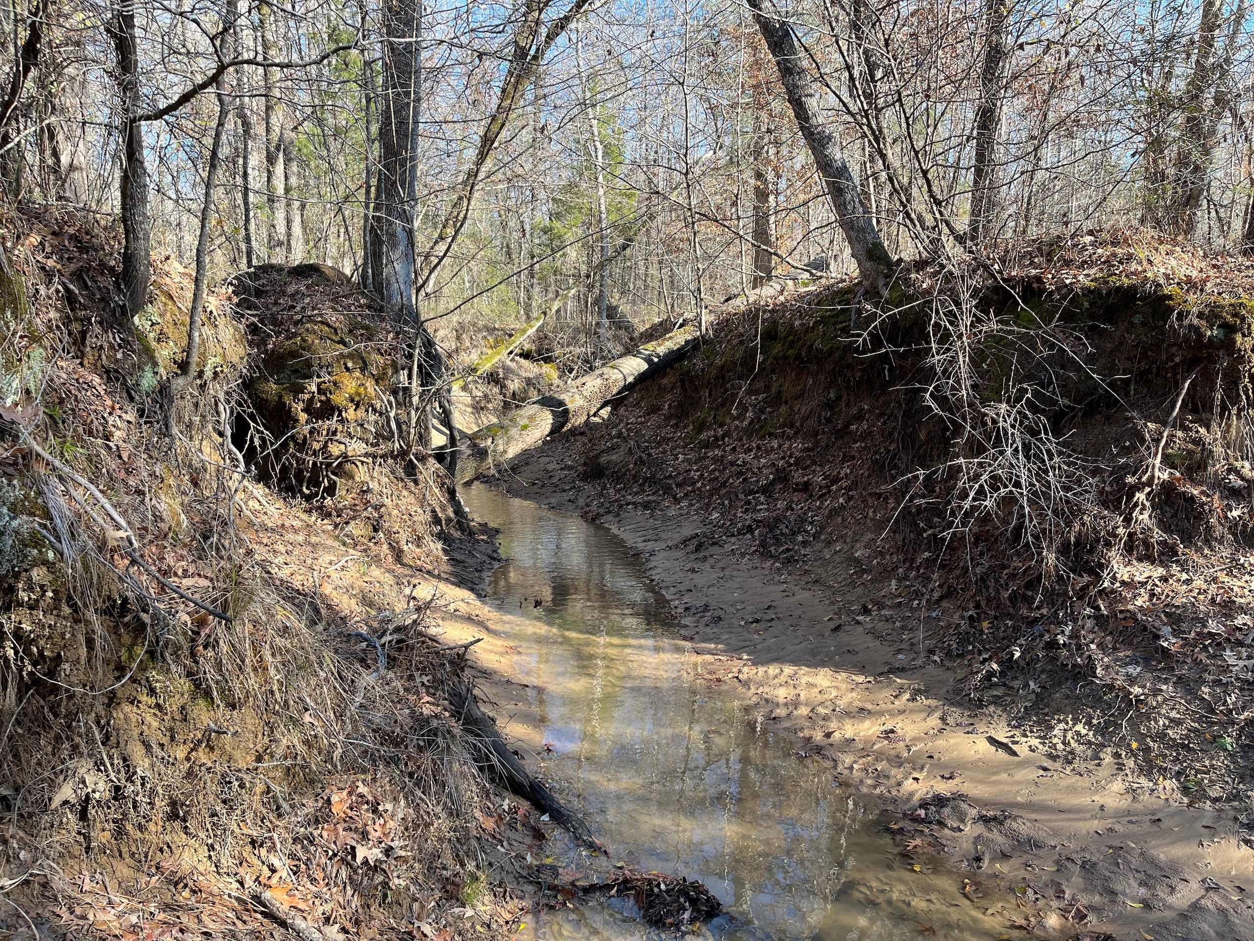 Ringgold, Bienville Parish, LA Recreational Property, Timberland