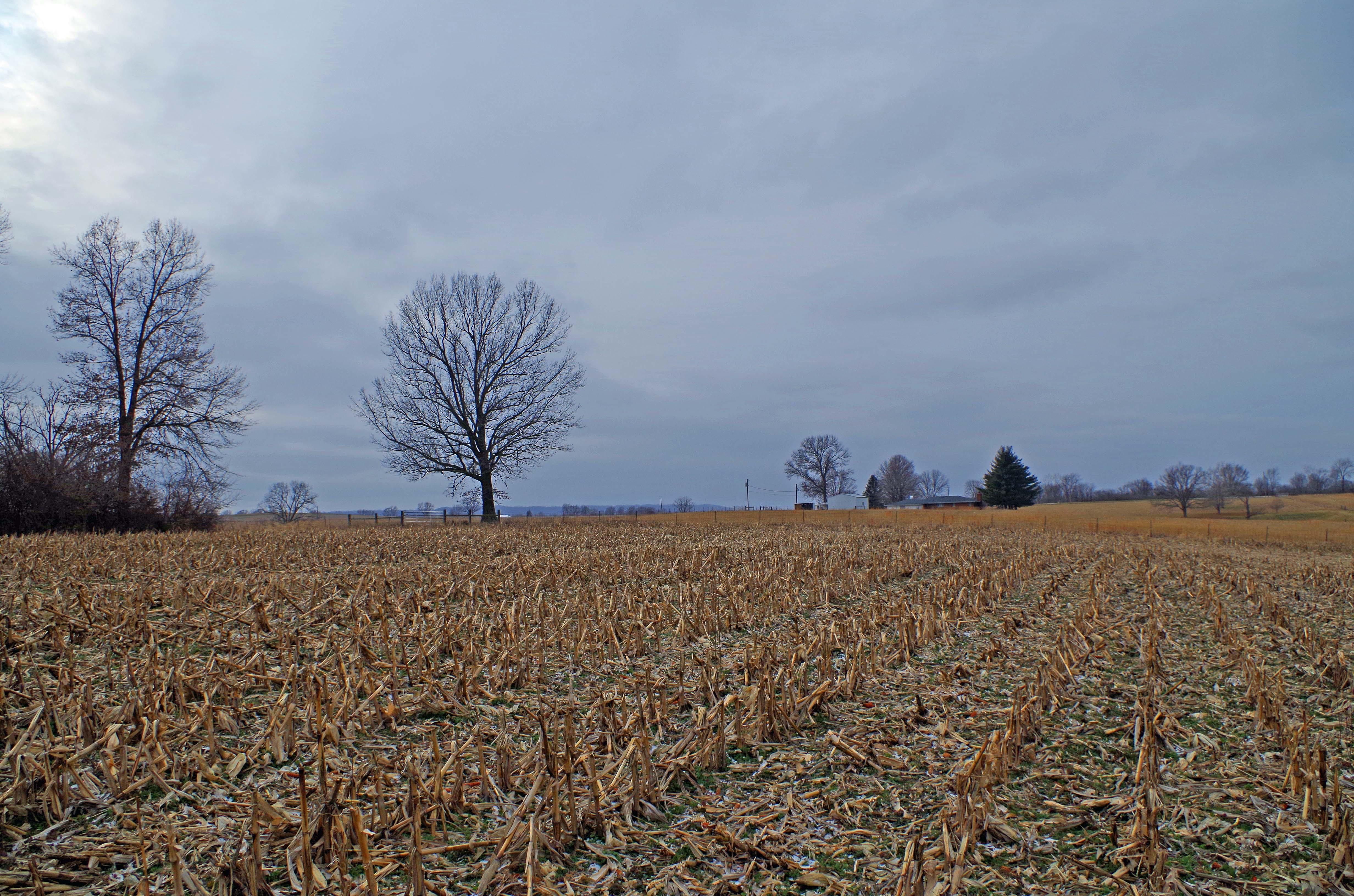 State Highway JJ, Elsberry, MO 63343 MLS 24001993 LandWatch