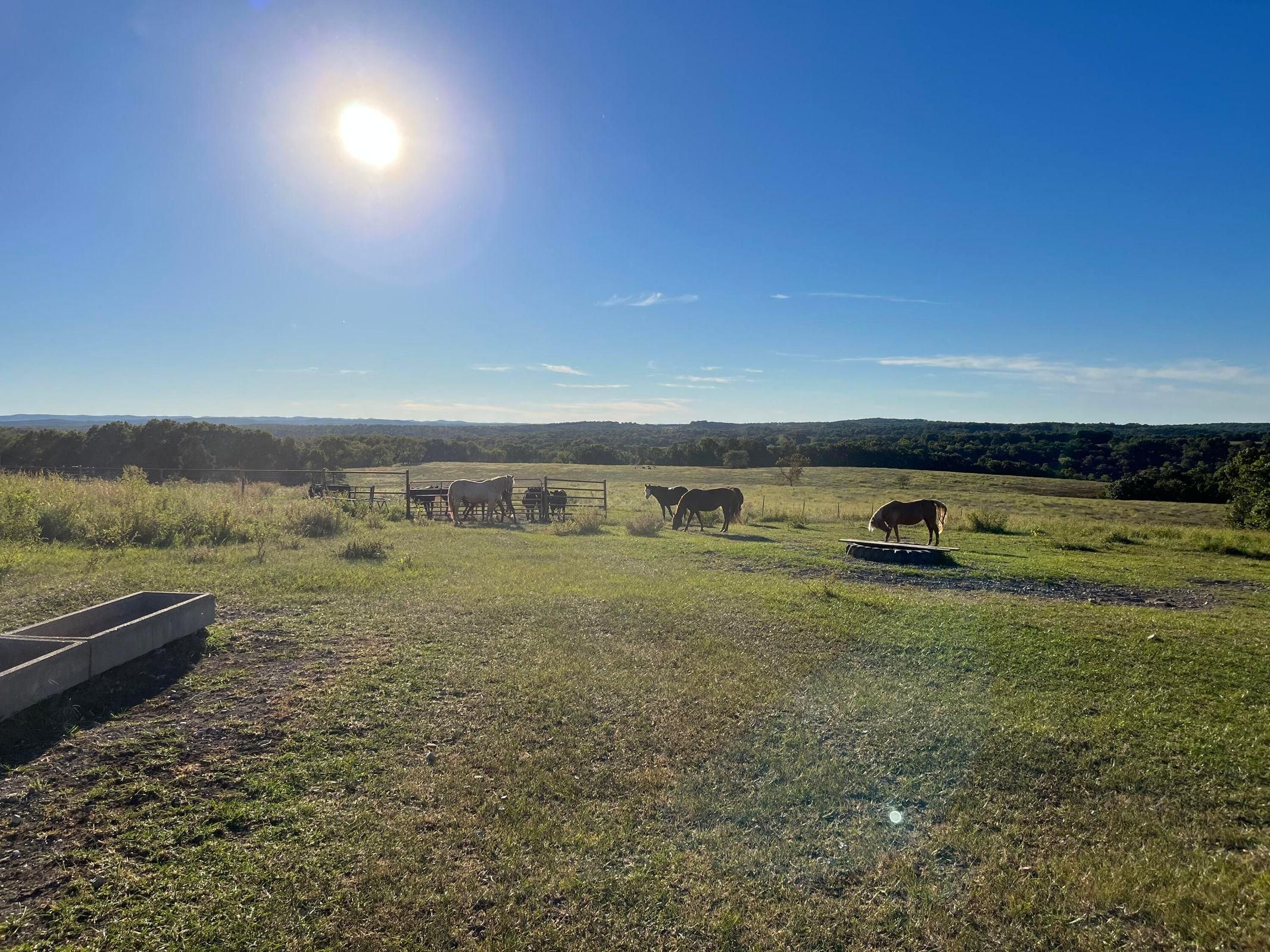 Dora, Ozark County, MO Farms and Ranches, Hunting Property, Horse