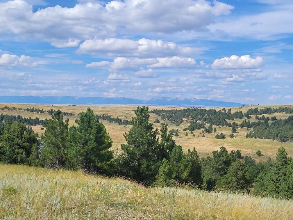 Shawmut, Wheatland County, MT Recreational Property, Undeveloped Land