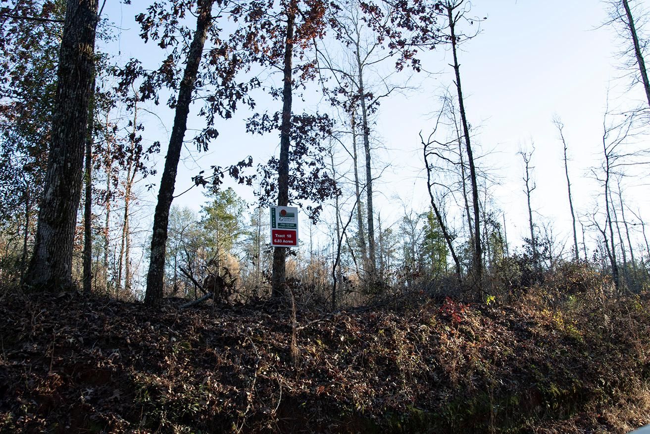 Hephzibah, Burke County, GA Recreational Property, Undeveloped Land for