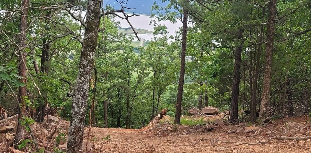 9.98 acres in Yanush, OK, 74574 LandWatch