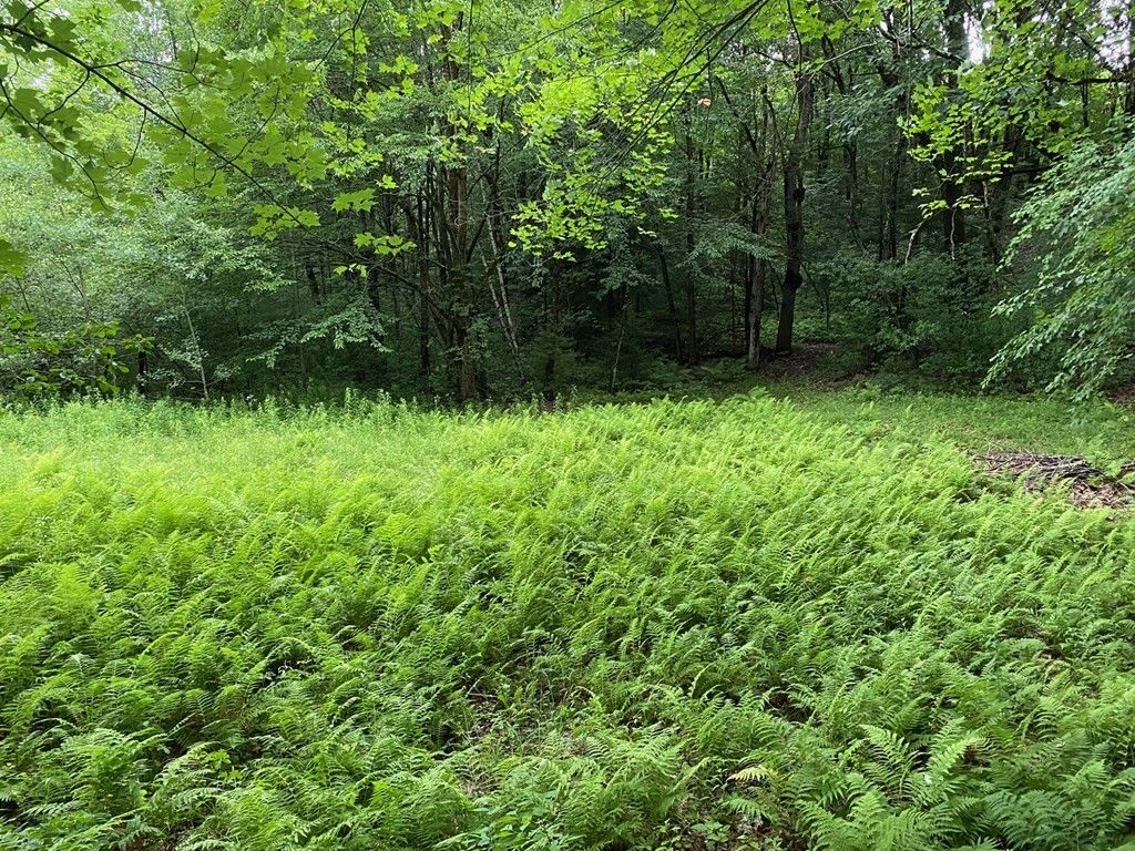 Oakham, Worcester County, MA Undeveloped Land for sale Property ID