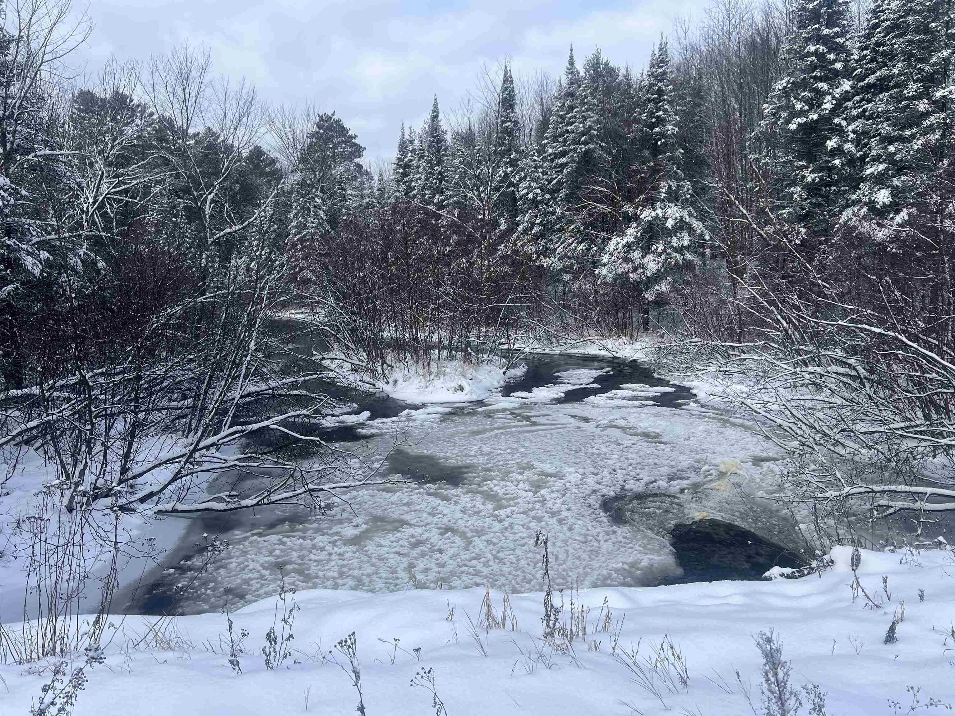 Pearson, Langlade County, WI Undeveloped Land, Lakefront Property
