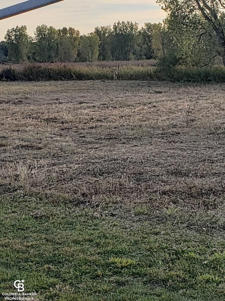 Brockway, Saint Clair County, MI Undeveloped Land for sale Property ID