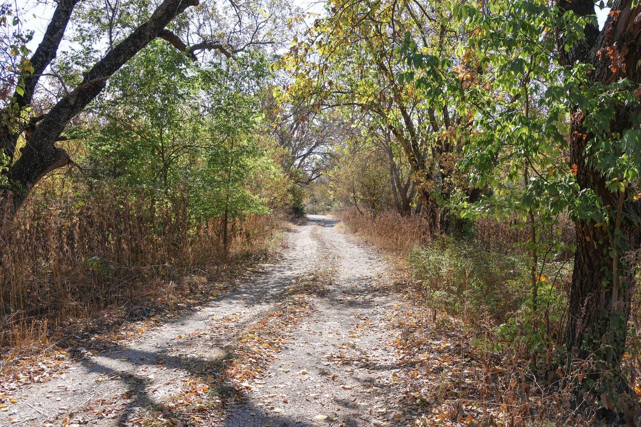358 15000 Rd, Mound Valley, KS 67354 LandWatch