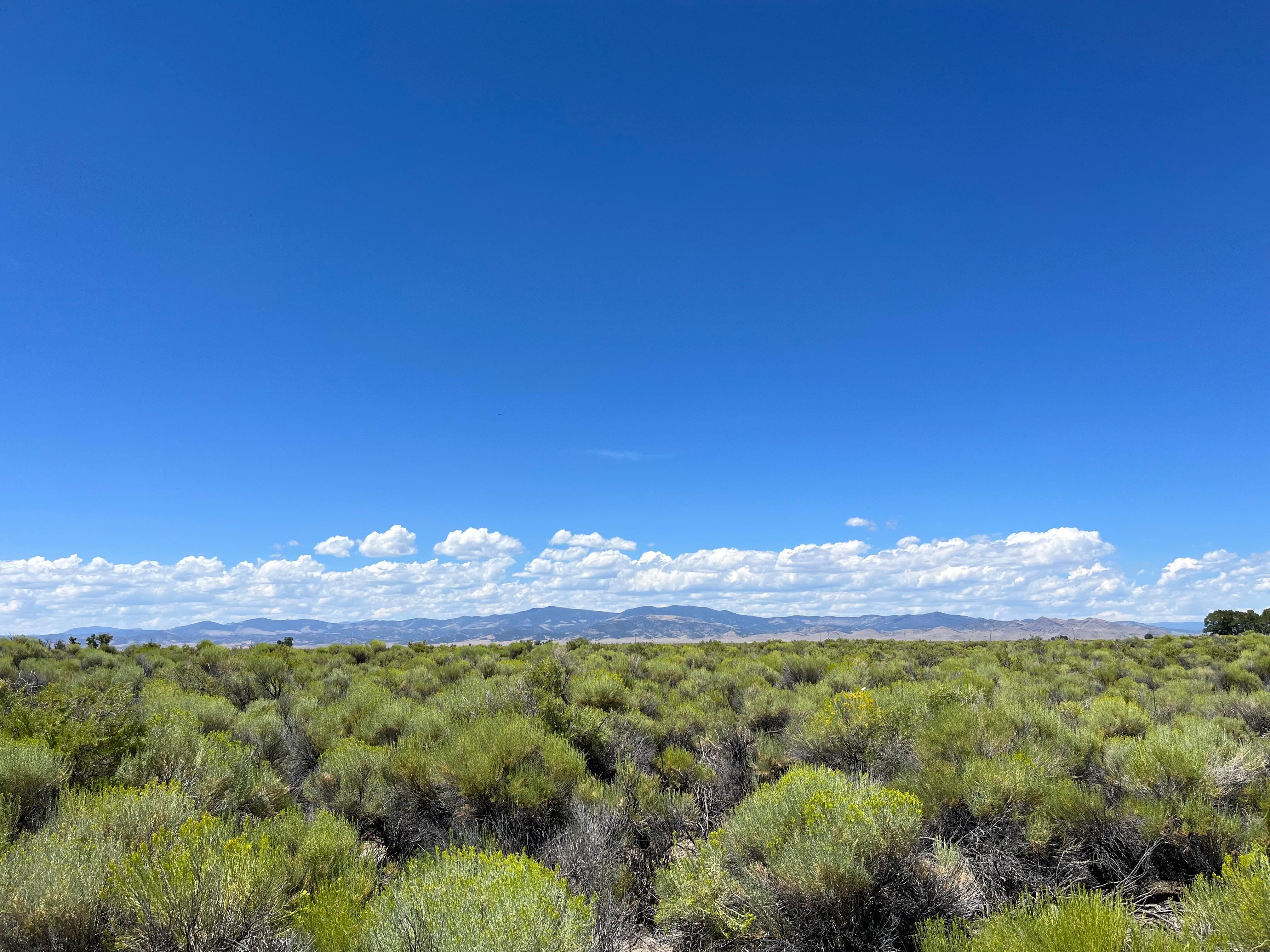 Saguache, Saguache County, CO Undeveloped Land for sale Property ID