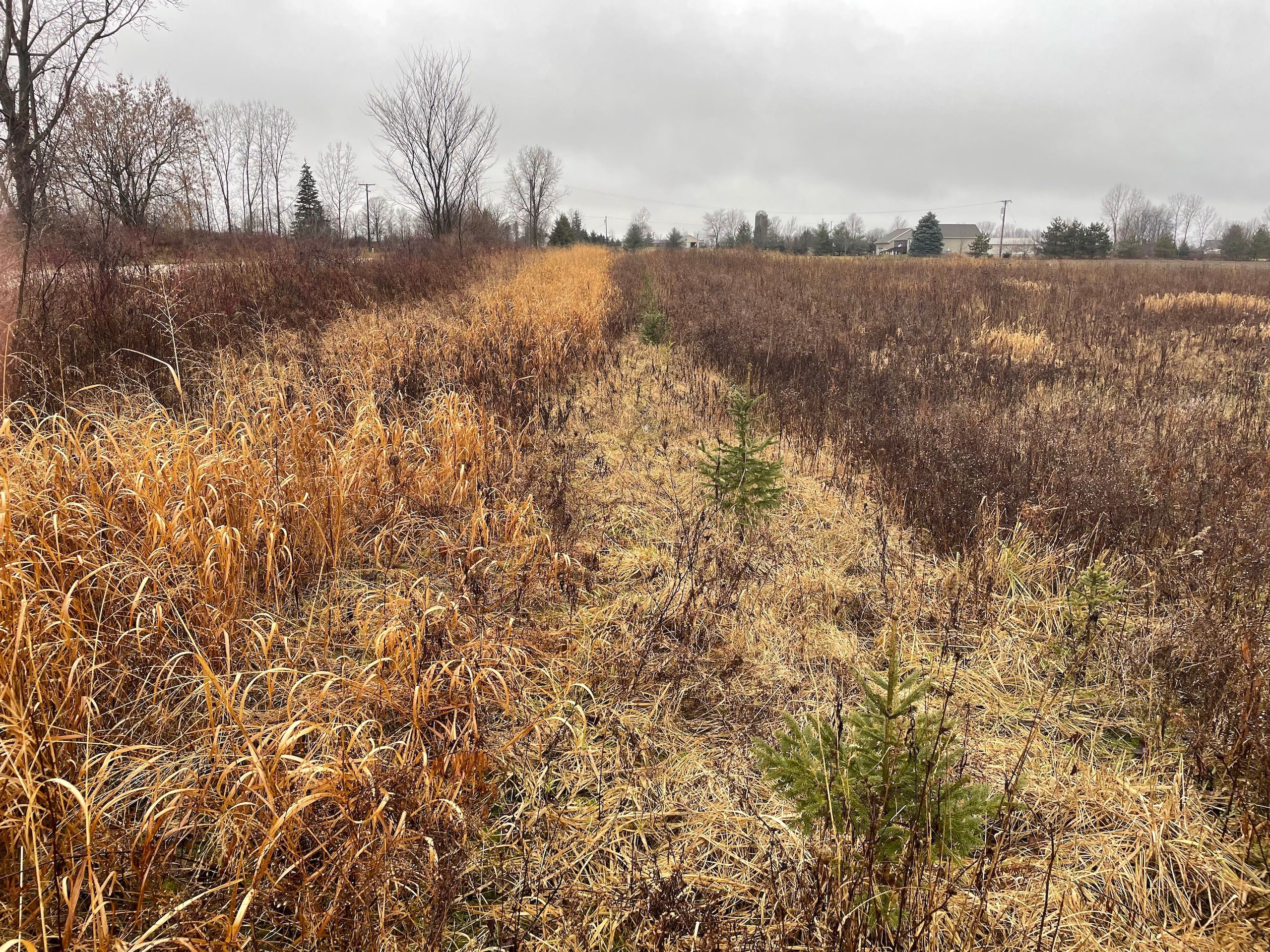 Brooks Road, LotWP001, Brown City, MI 48416 LandWatch