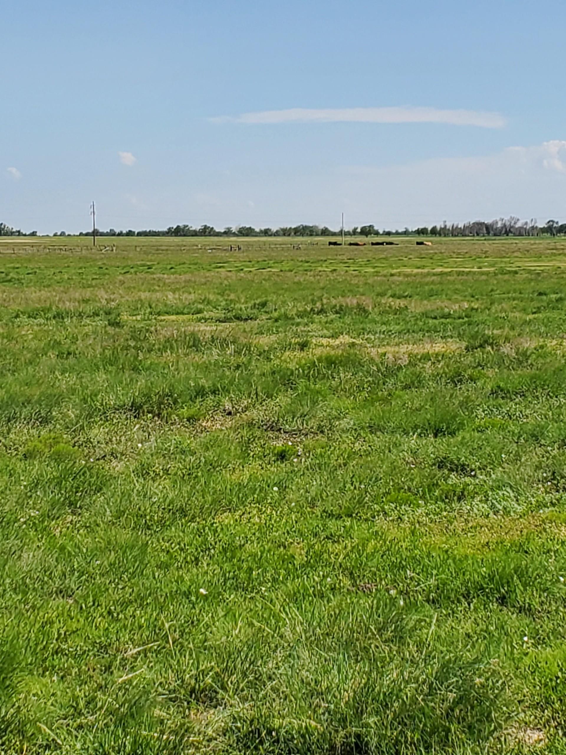 140 acres in Maxwell, NM, 87728 MLS 111264 LandWatch