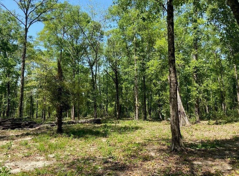 Deer Crest Court, Mobile, AL 36695 MLS 7314031 LandWatch