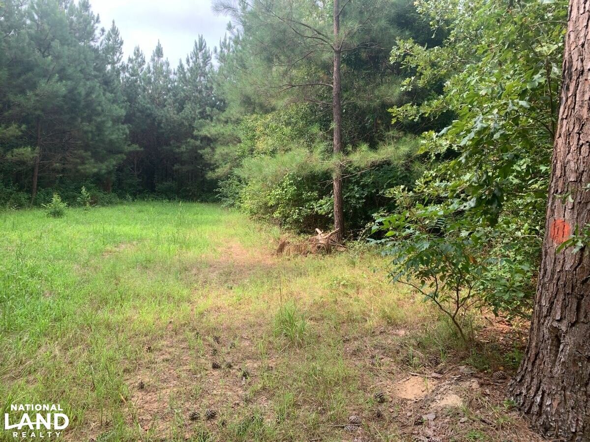Carthage, Leake County, MS Recreational Property, Timberland Property