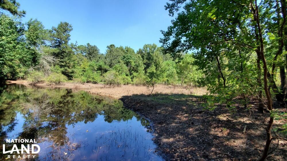 Cleveland, San Jacinto County, TX Farms and Ranches, Recreational Property for sale Property ID