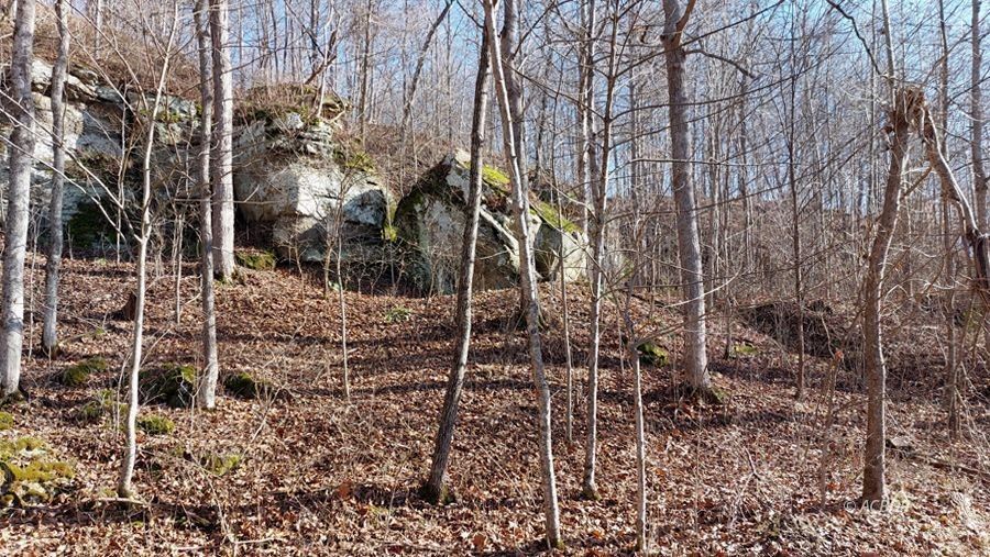 Rutland, Meigs County, OH Undeveloped Land for sale Property ID