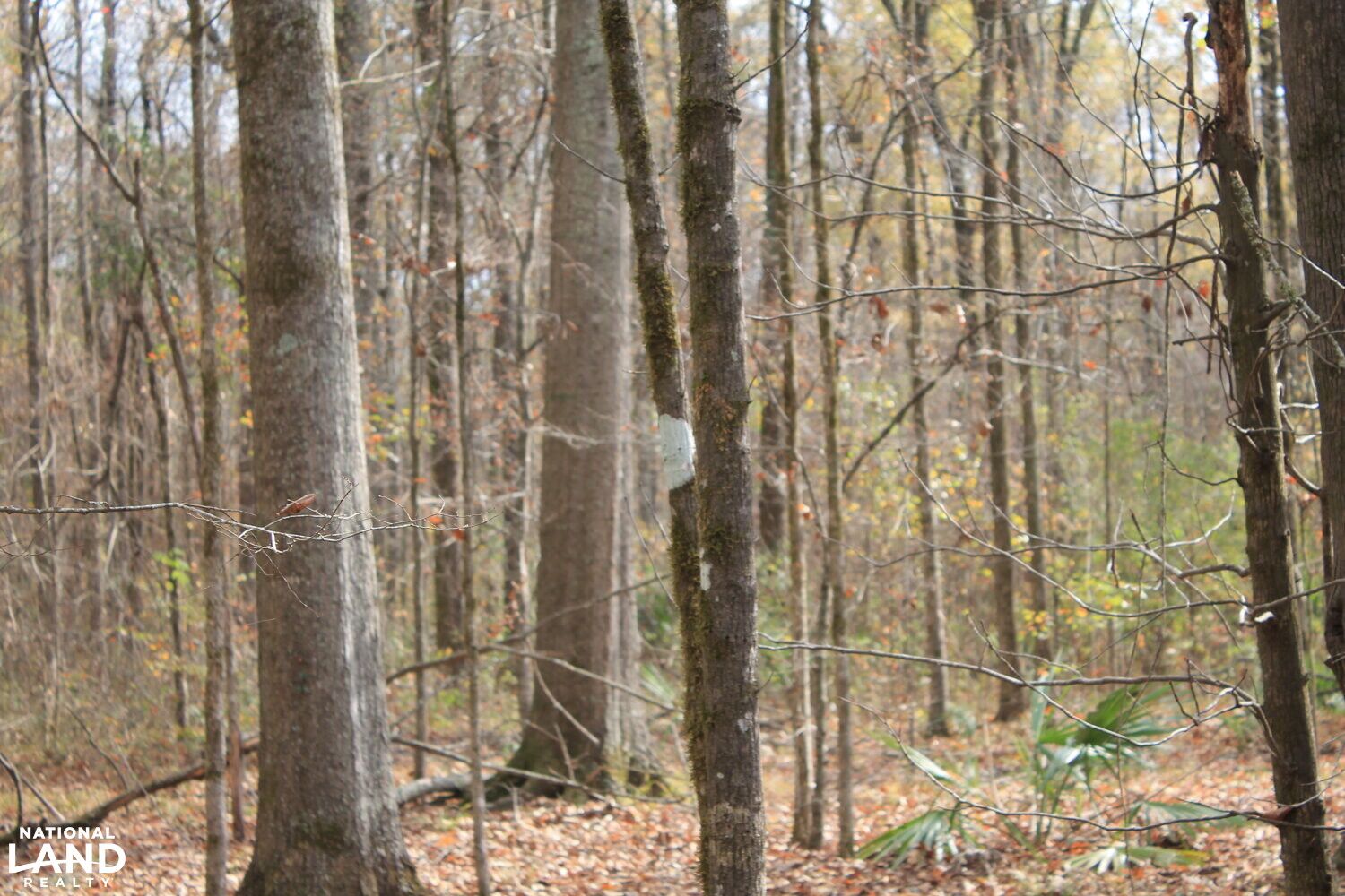 Monroe, Ouachita Parish, LA Farms and Ranches, Recreational Property