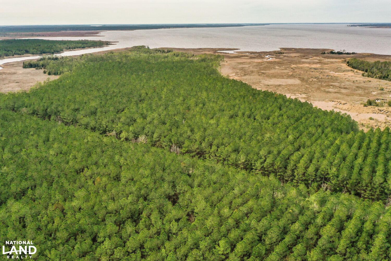 Scranton, Hyde County, NC Timberland Property for sale Property ID