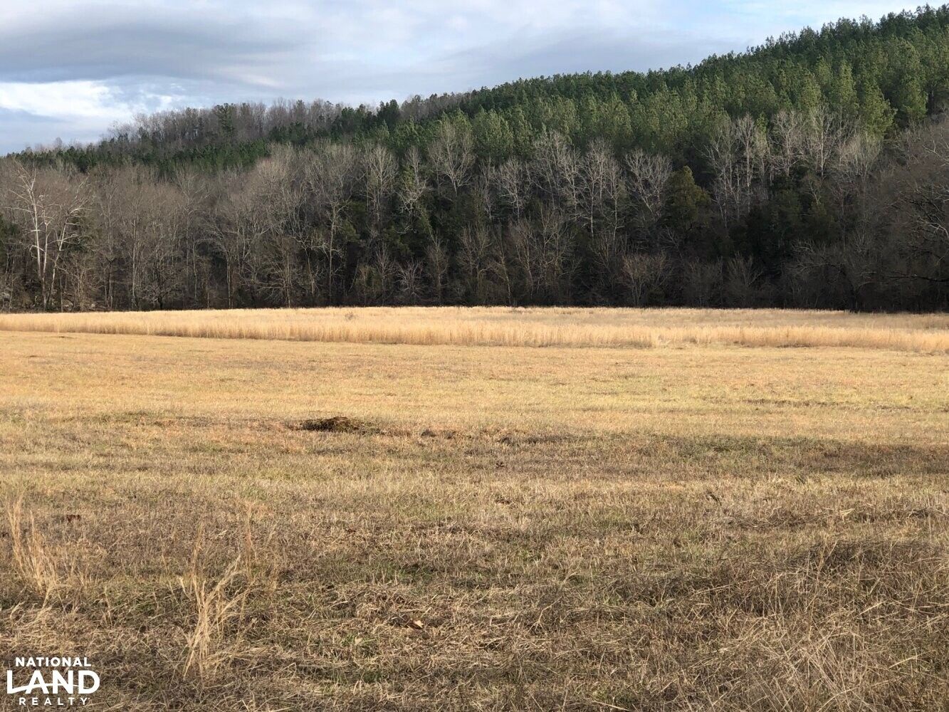 Piney Bend Rd, Vina, AL 35693 LandWatch