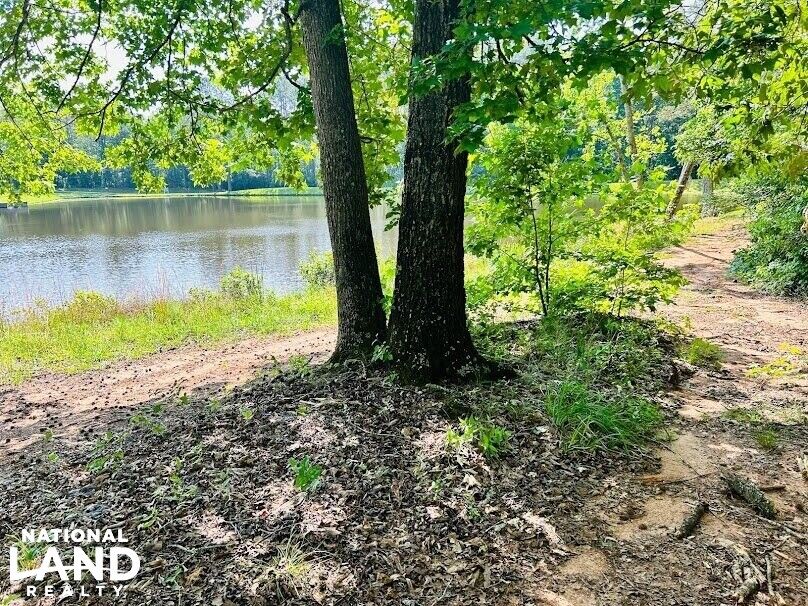 Lagrange, Troup County, GA Undeveloped Land, Lakefront Property