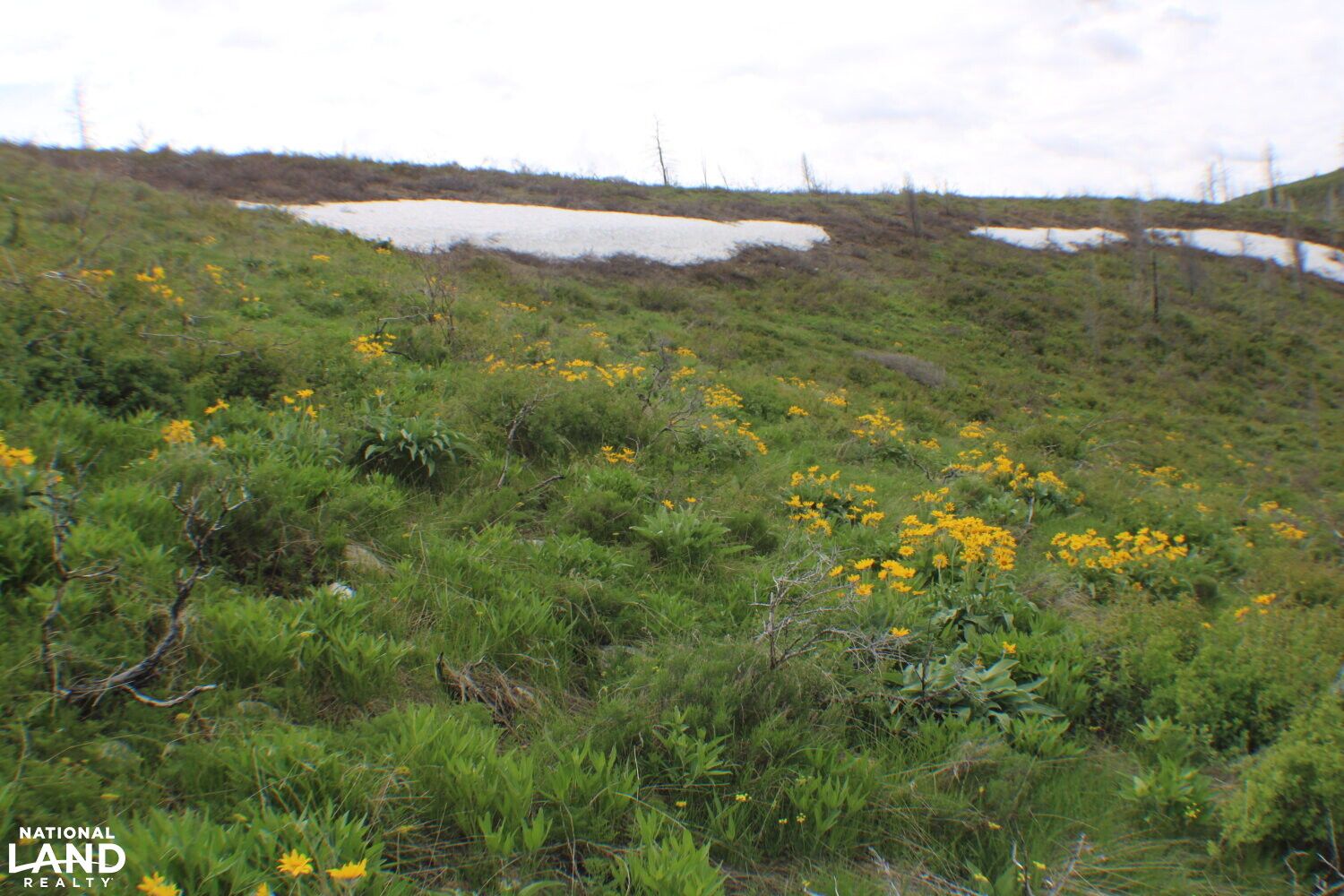 Soda Springs, Caribou County, ID Recreational Property, Undeveloped