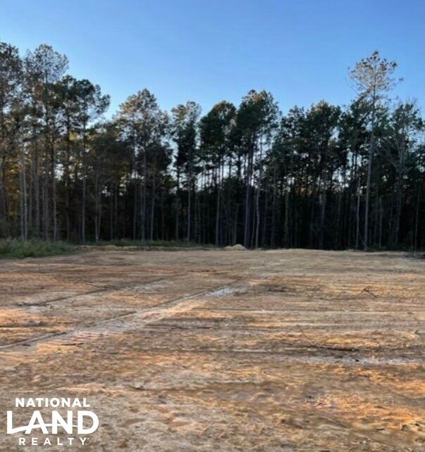 36222 Weiss Rd, Walker, LA 70785 LandWatch
