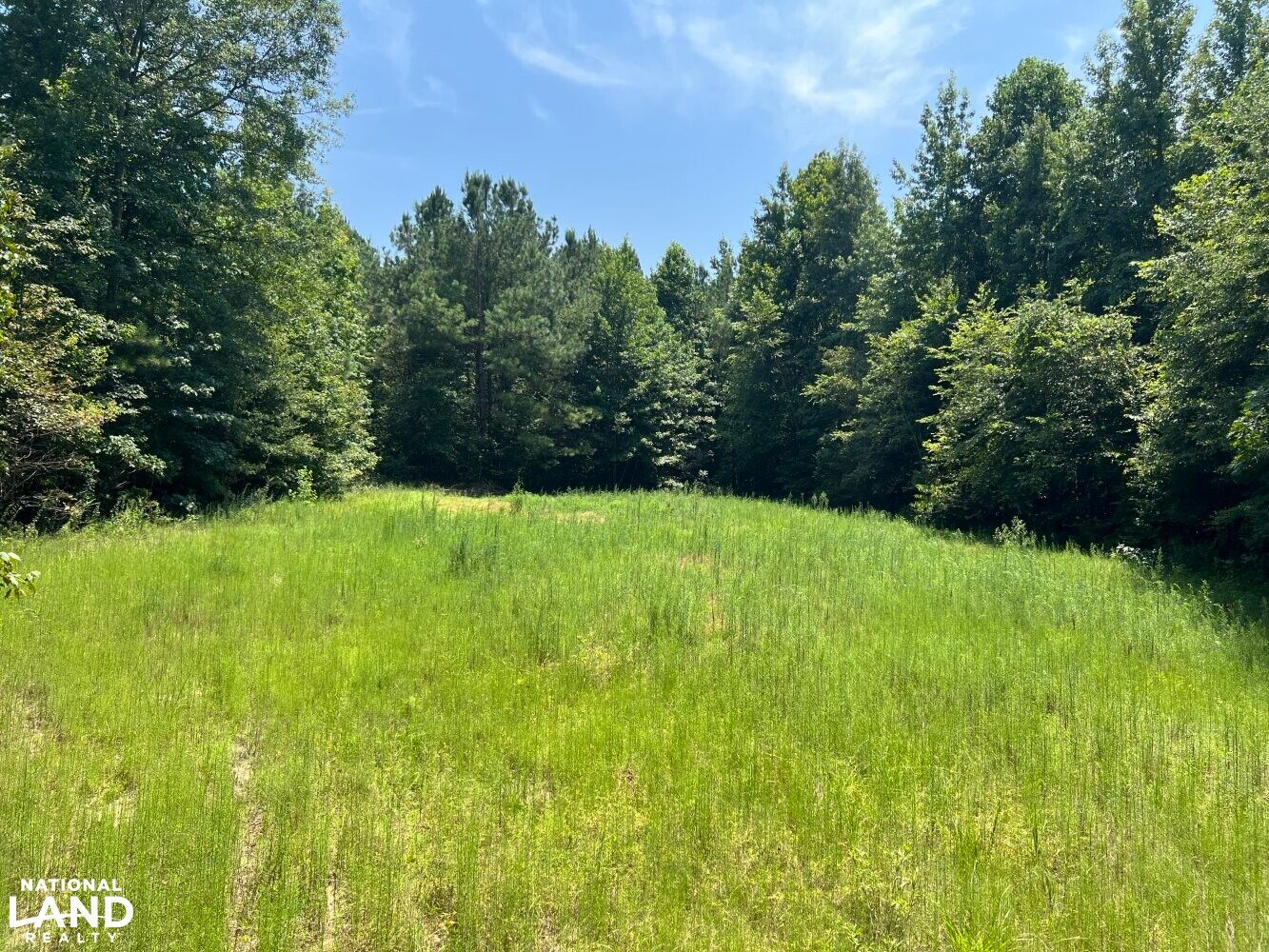 Bolivar, Hardeman County, TN Recreational Property, Timberland Property