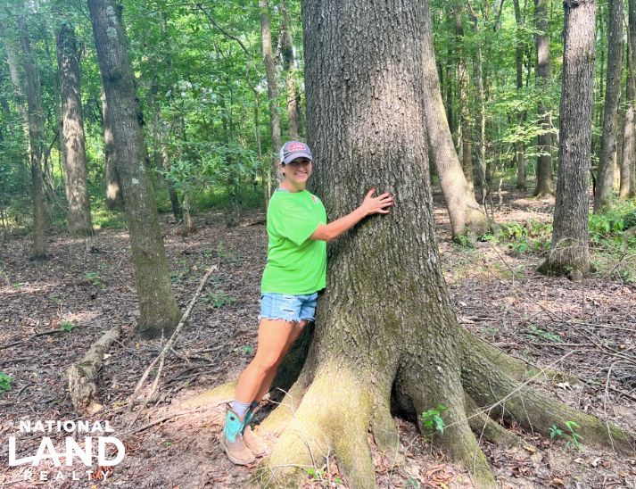 Calhoun City, Calhoun County, MS Recreational Property, Timberland