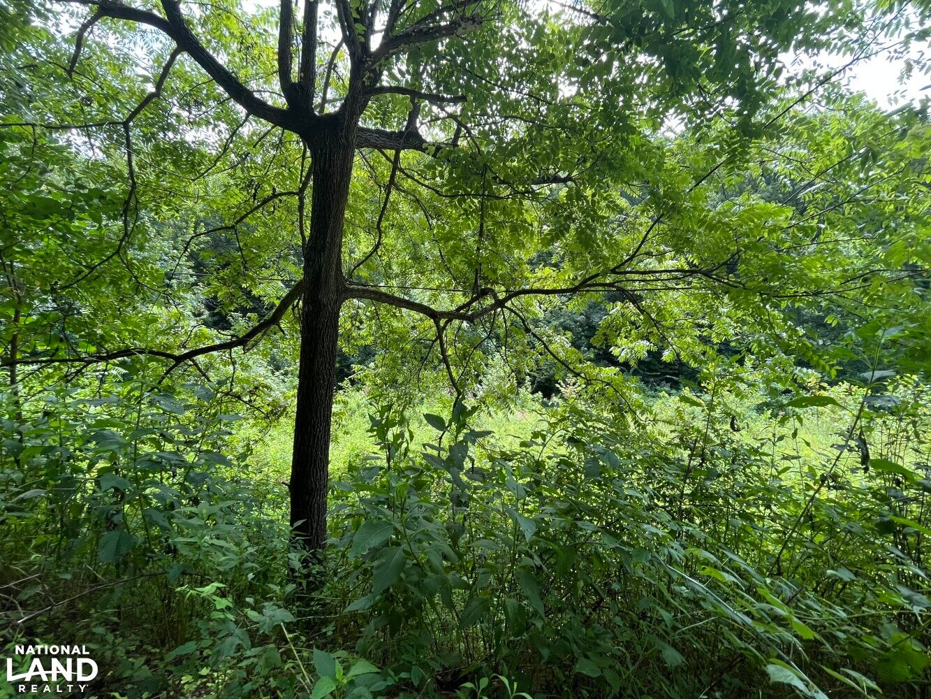 Flat Lick, Knox County, KY Recreational Property, Undeveloped Land
