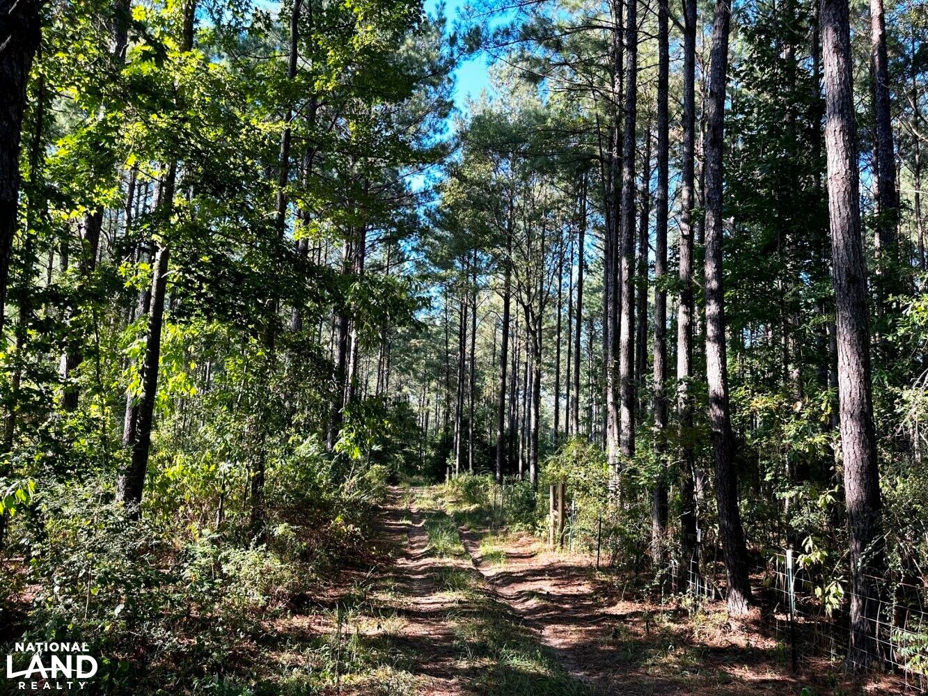 Lumberton, Pearl River County, MS Timberland Property, Undeveloped Land