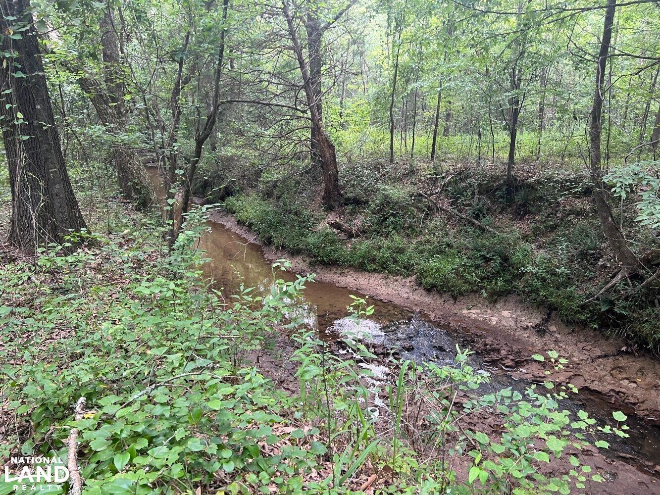 Middleton, Hardeman County, TN Recreational Property, Timberland Property, Hunting Property for
