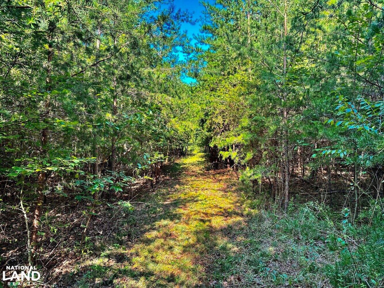 Crossville, Cumberland County, TN Undeveloped Land for sale Property ID