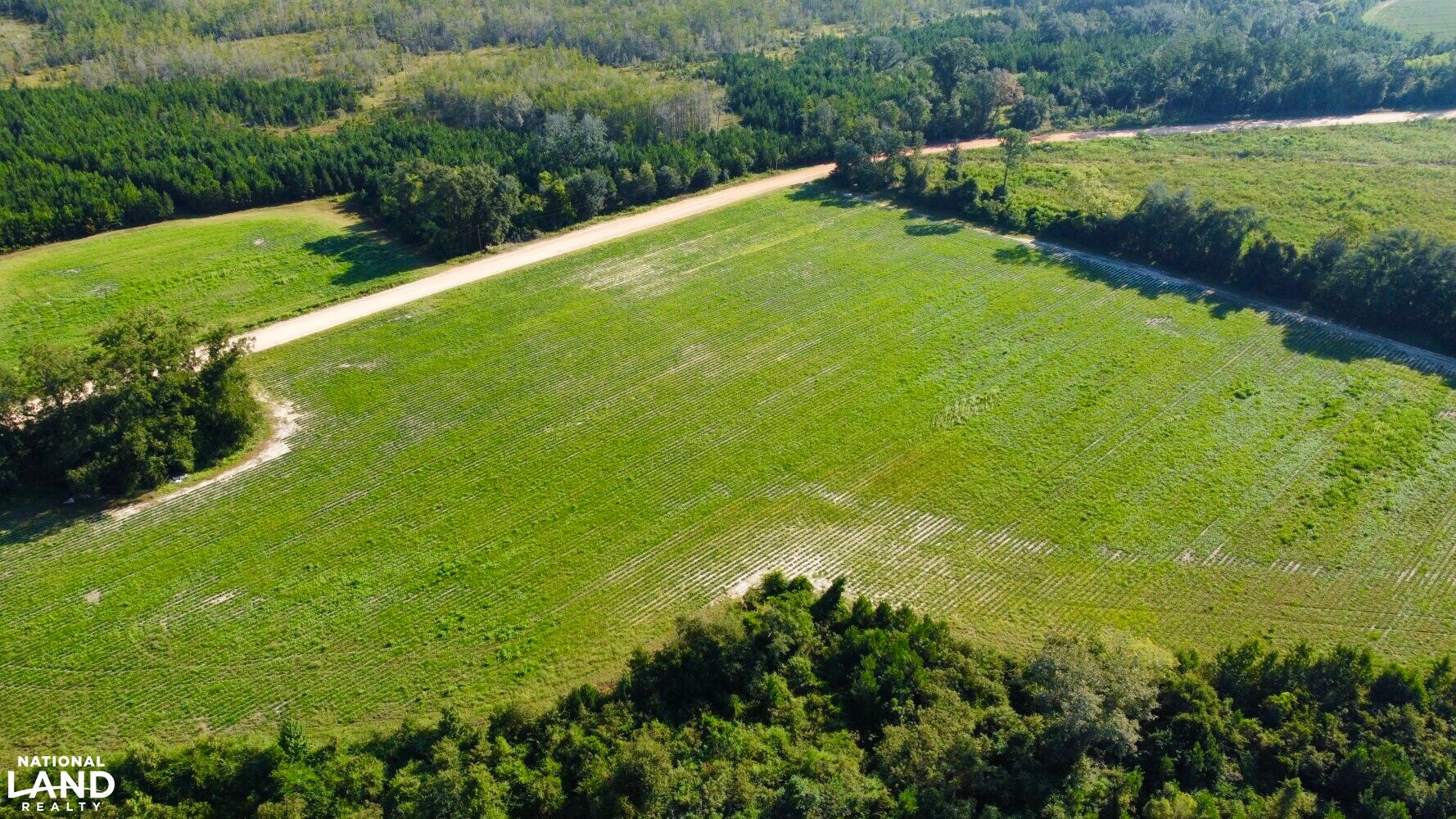 Gordon, Houston County, AL Farms and Ranches, Timberland Property