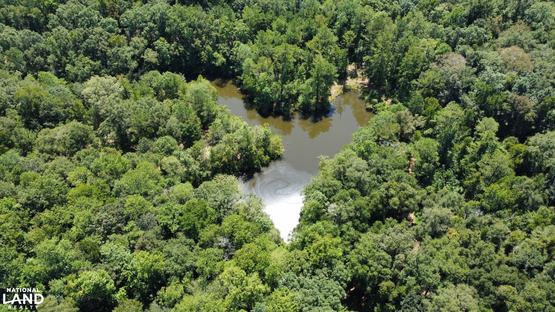 Cuthbert, Randolph County, GA Recreational Property, Timberland