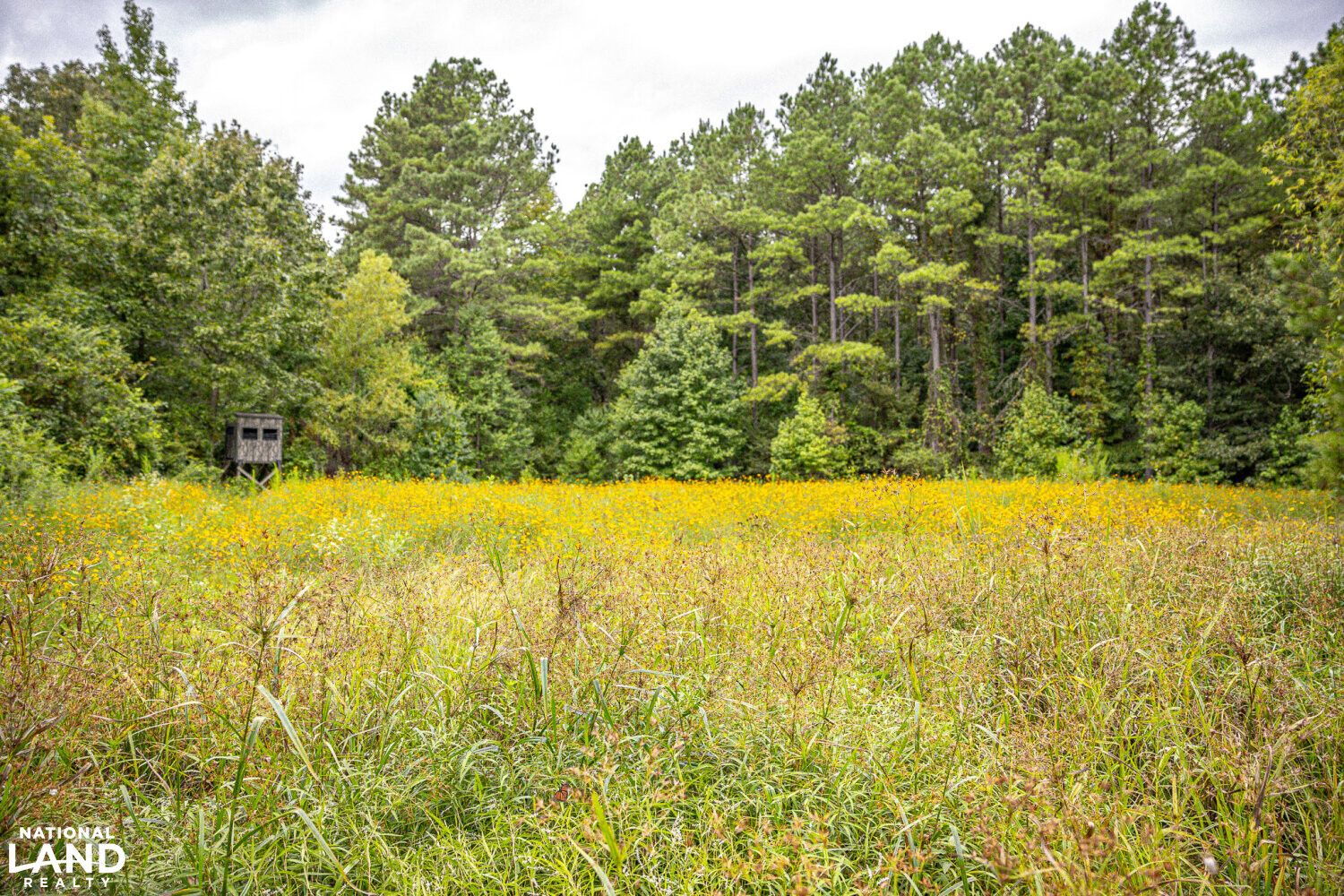 Bastrop, Morehouse Parish, LA Recreational Property, Timberland Property, Hunting Property for