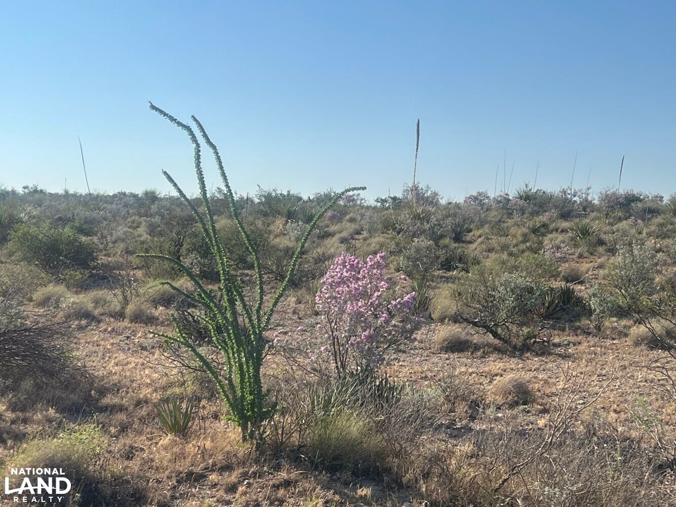 0, Sanderson, TX 79848 LandWatch