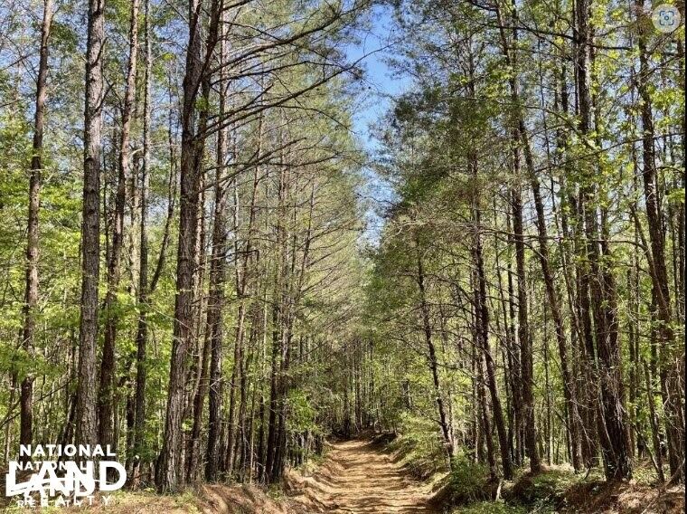 Adger, Jefferson County, AL Recreational Property, Undeveloped Land, Hunting Property for sale