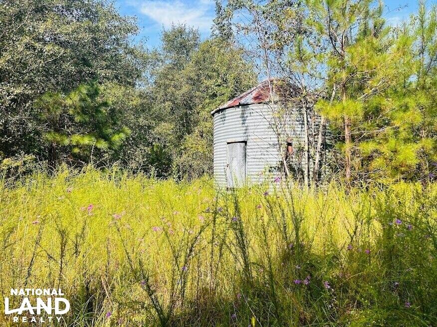 East Dublin, Laurens County, GA Recreational Property, Timberland