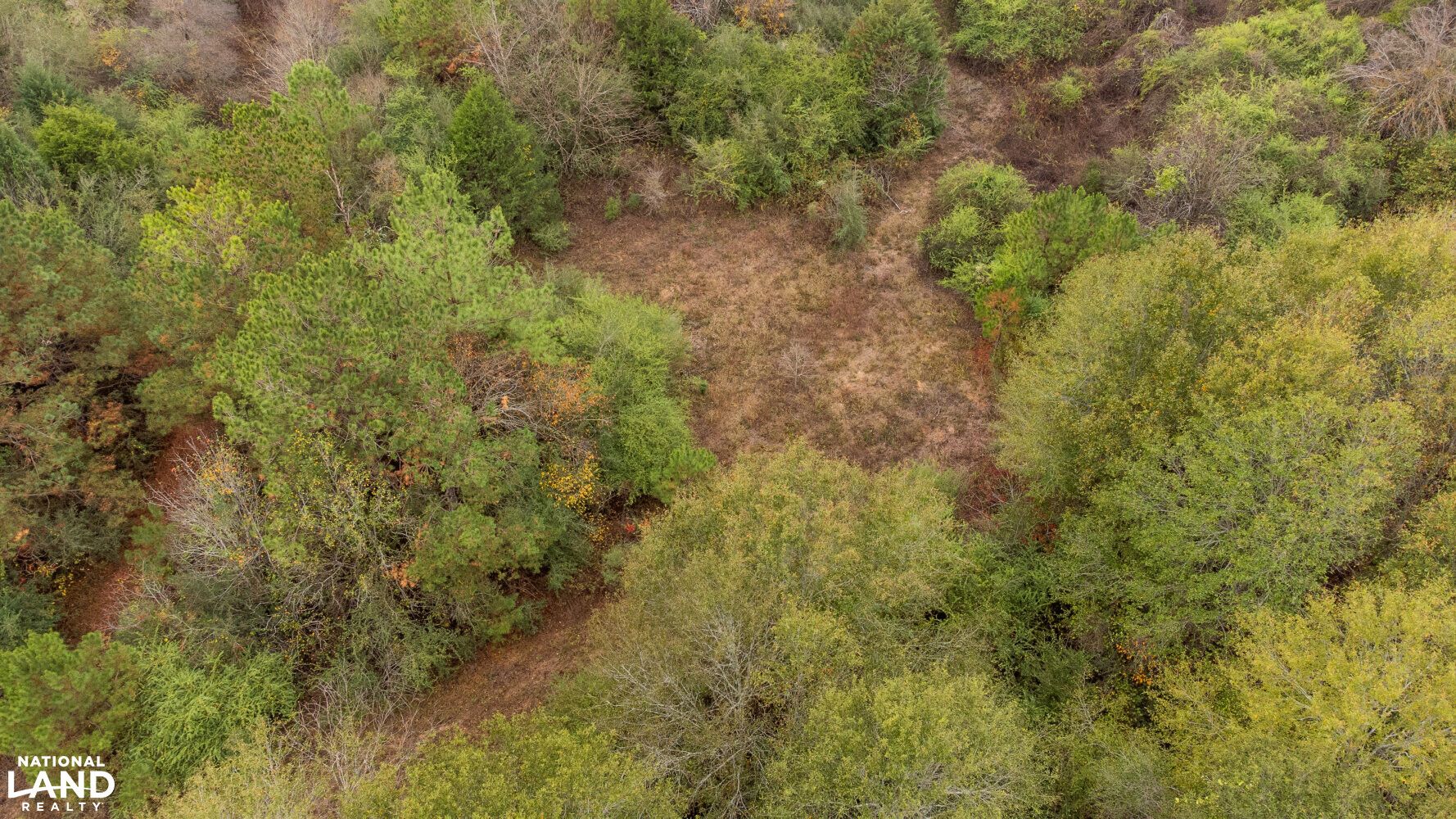 Prentiss, Jefferson Davis County, MS Recreational Property, Timberland Property, Hunting